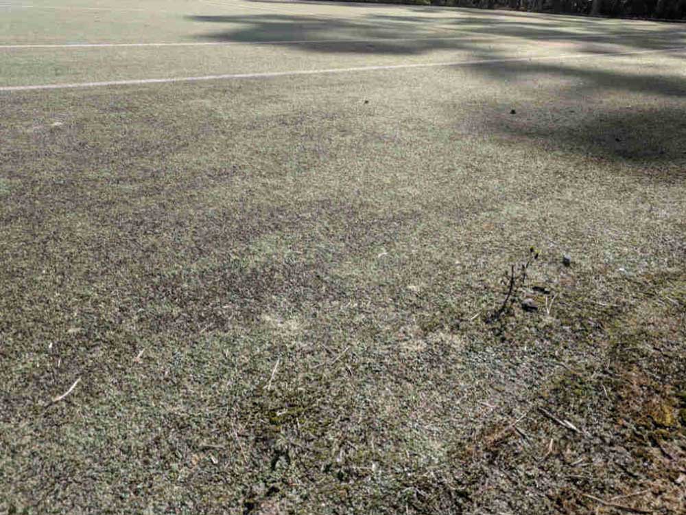 Tennis Court Maintenance