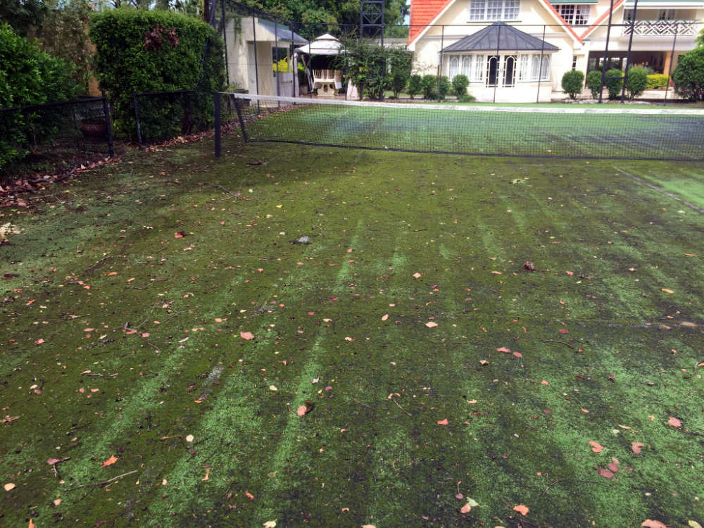Tennis Court Maintenance