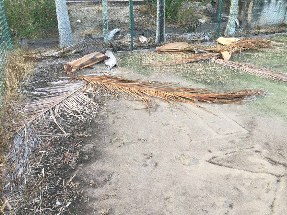 Tennis Court Maintenance